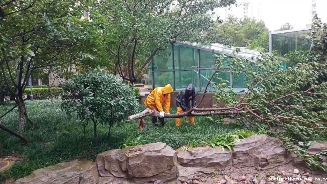 1651131062956891.jpg 1651131062956891.jpg