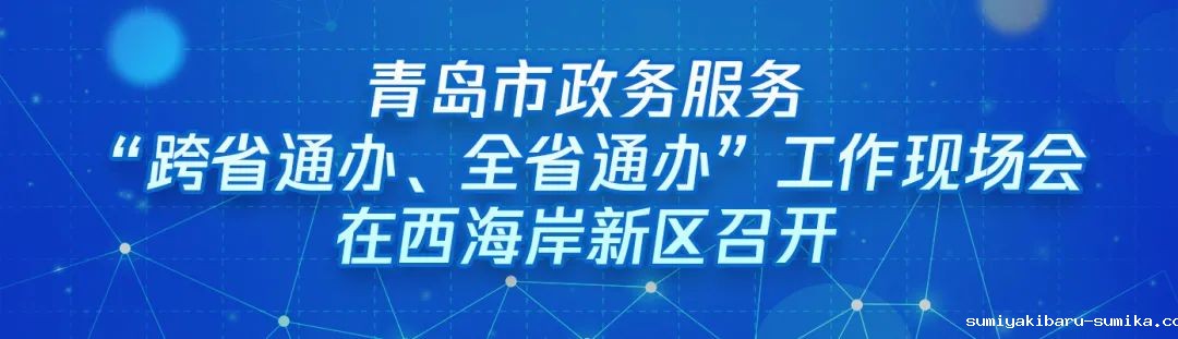 ​“跨域通办专窗平台”亮相青岛市政务服务“跨省通办、全省通办”工作现场会
