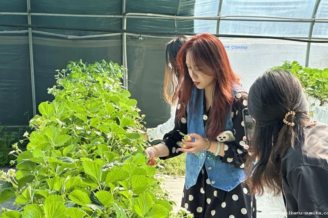 1678324009686508.jpg 1678324009686508.jpg