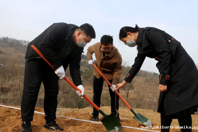 春风十里,植下一片绿 | 瑞源控股集团开展2023年植树节系列活动 春风十里,植下一片绿 | 瑞源控股集团开展2023年植树节系列活动