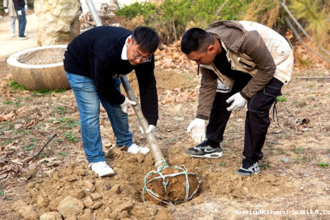 春风十里,植下一片绿 | 瑞源控股集团开展2023年植树节系列活动 春风十里,植下一片绿 | 瑞源控股集团开展2023年植树节系列活动