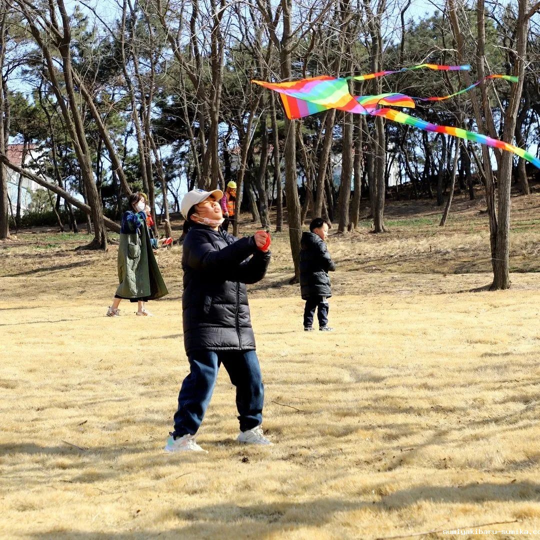 春风十里,植下一片绿 | 瑞源控股集团开展2023年植树节系列活动 春风十里,植下一片绿 | 瑞源控股集团开展2023年植树节系列活动