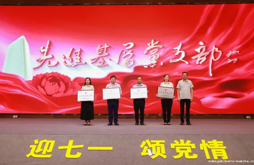 瑞源控股集团“迎七一 颂党情”主题教育表彰大会圆满举行，taptap正网荣获先进基层党支部称号